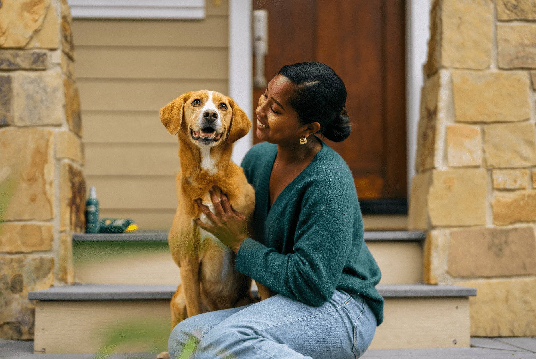 My Dog Is Constantly Scratching and Biting Himself: What to Do