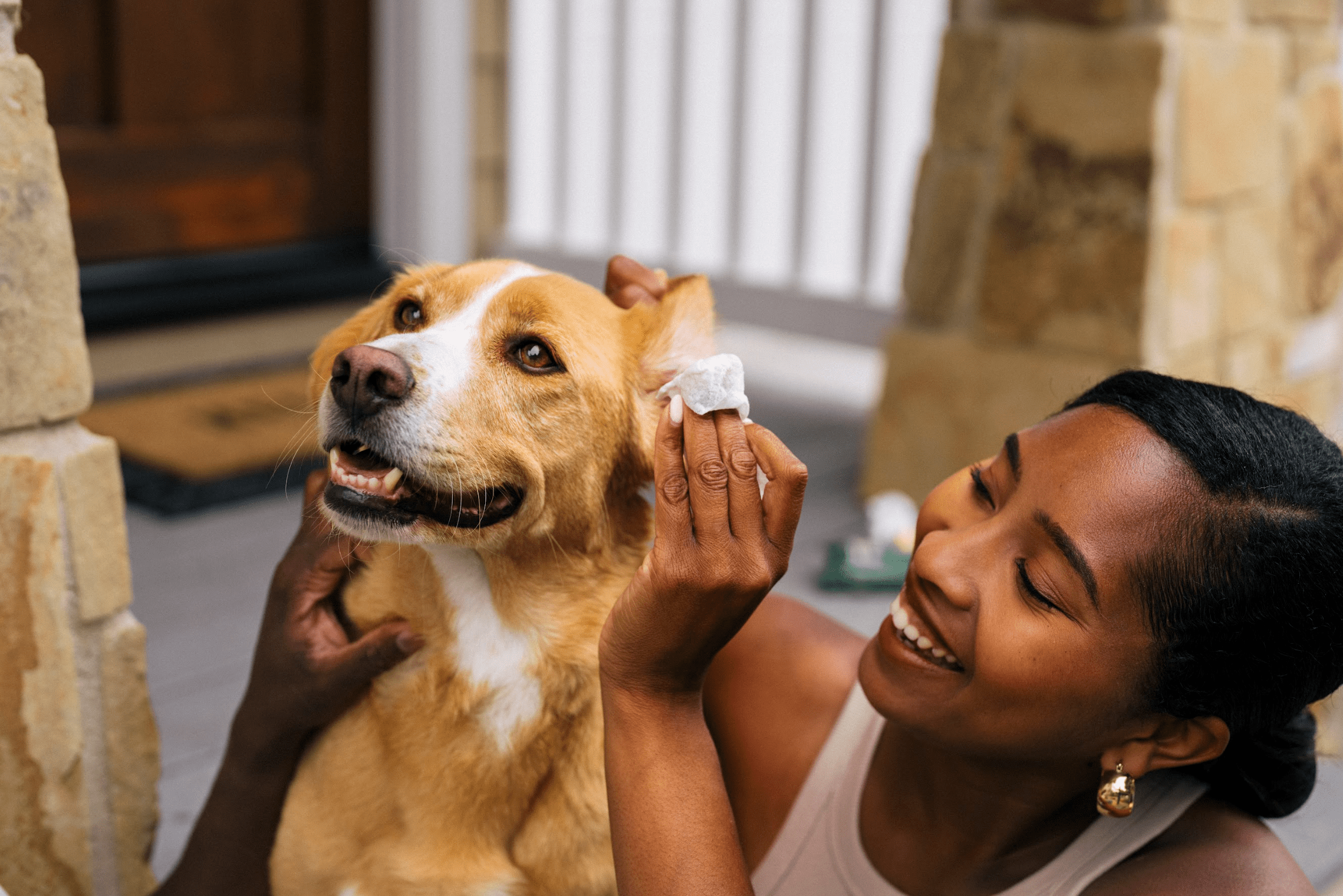 How to Clean Your Dog's Ears with Pet Wipes: A Step-by-Step Guide