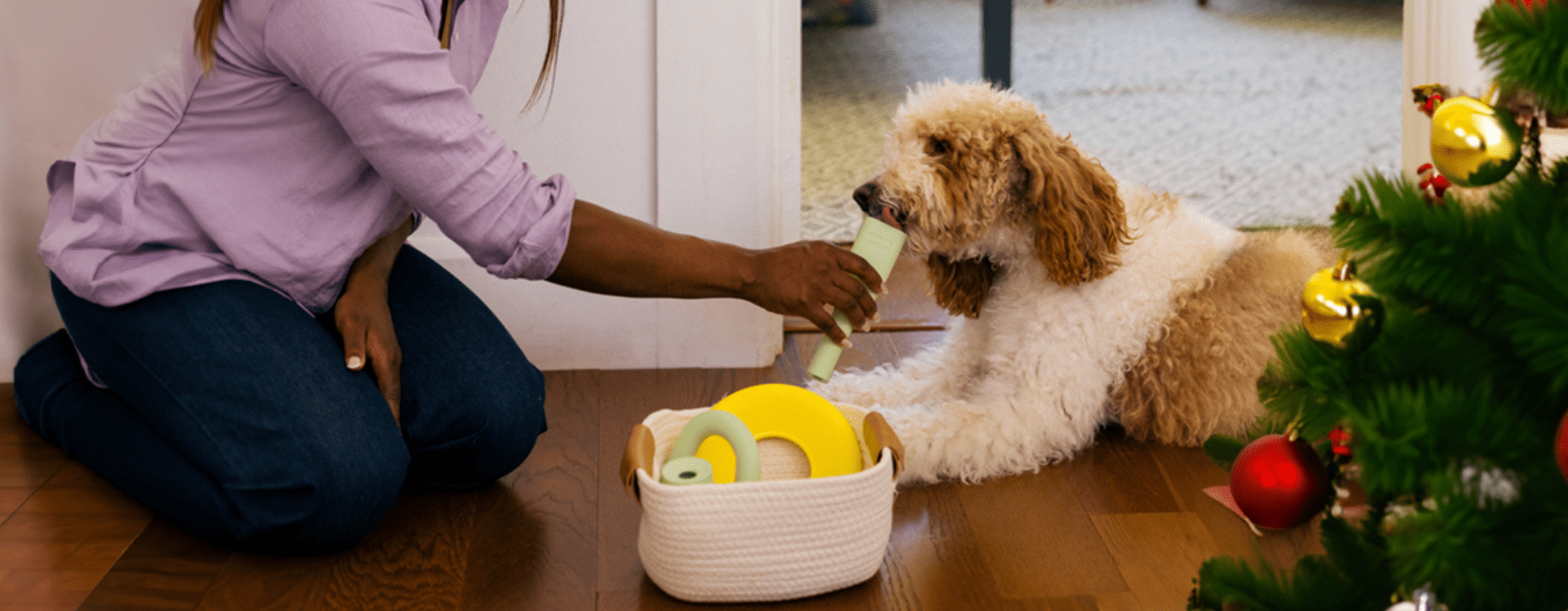 Are Christmas Trees Toxic to Dogs? Learn How to Keep Pets Safe