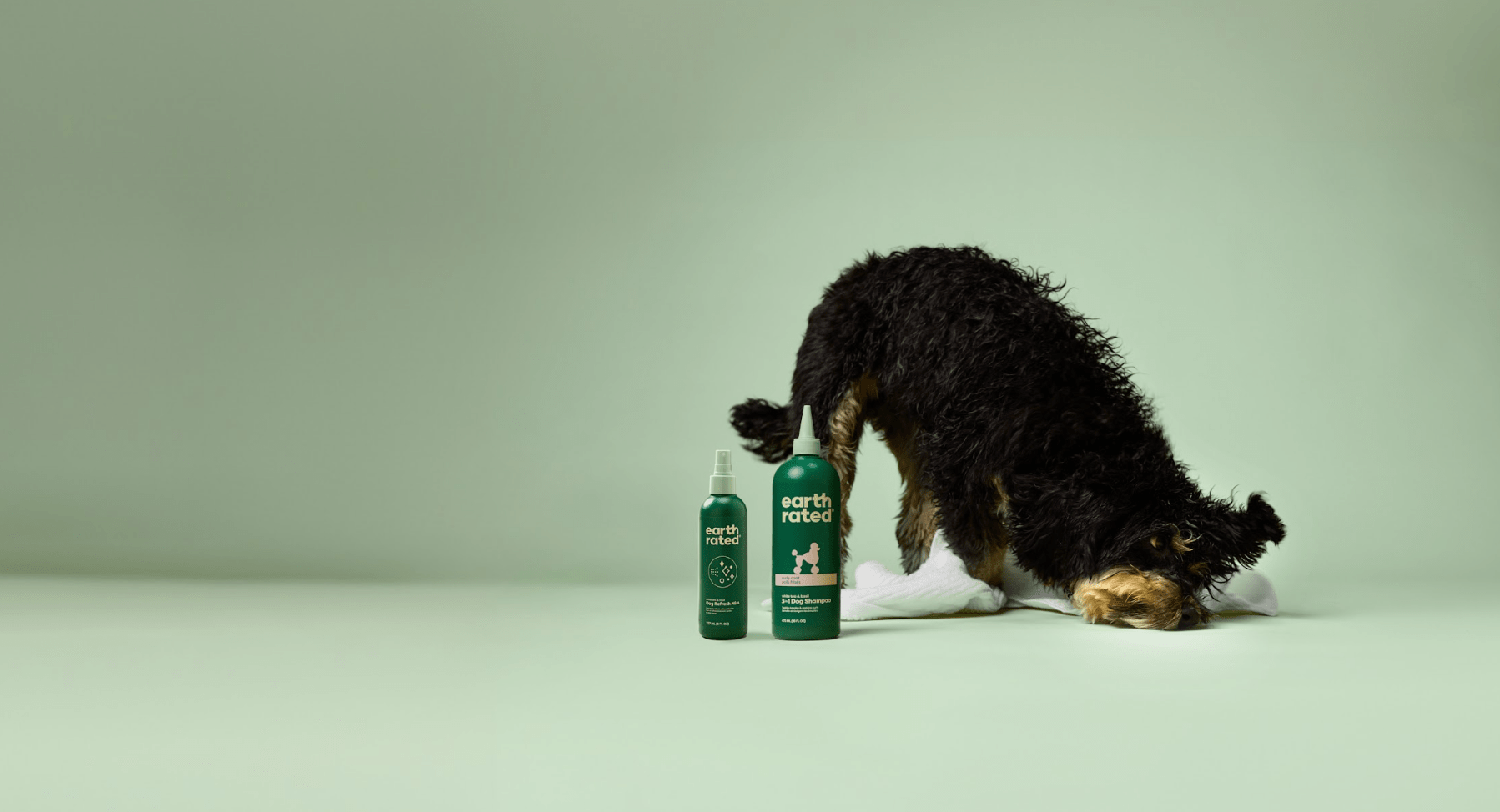 Best Shampoo for Dogs for Healthy Coats & Skin