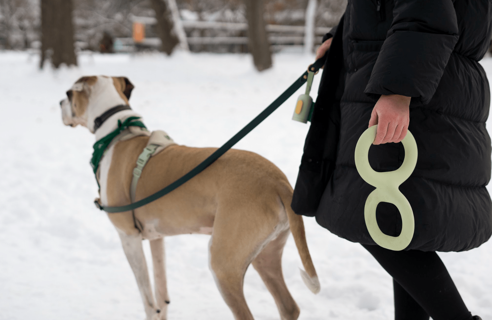 When Do Dogs Grow Their Winter Coat?