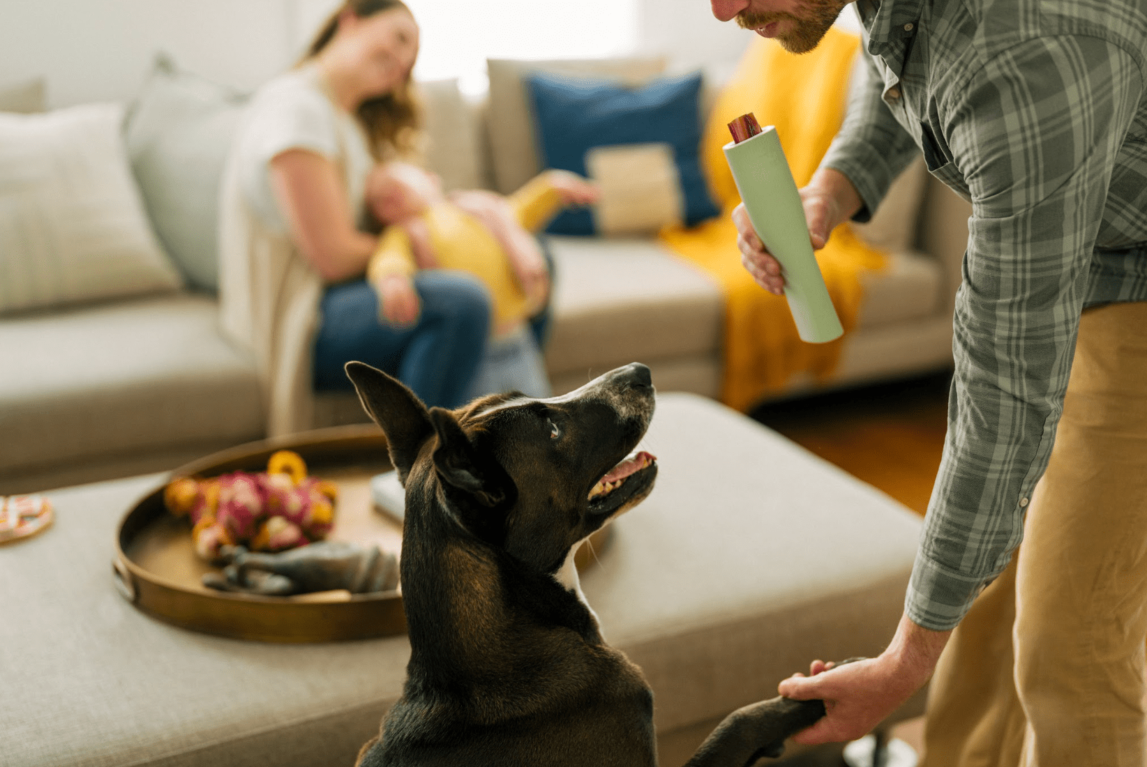 What Can Dogs Eat on Thanksgiving: Safe Foods to Share