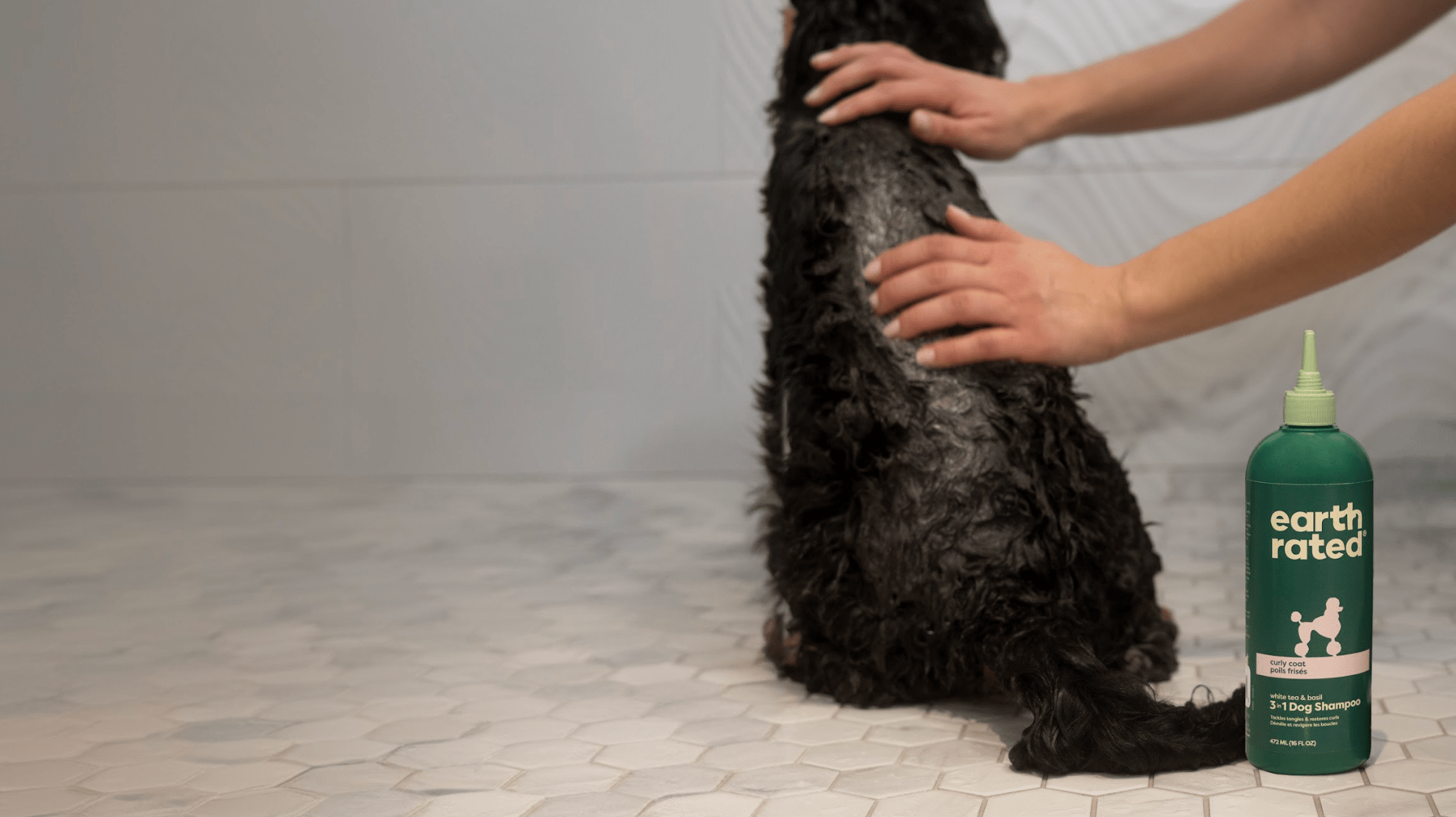 How to Wash a Dog: Expert Bathing Tips & Techniques