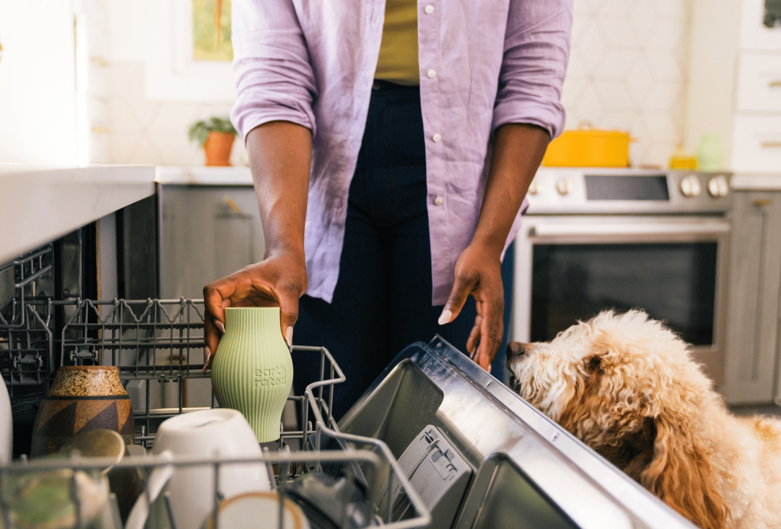 How to Wash Dog Toys: A Complete Cleaning Guide