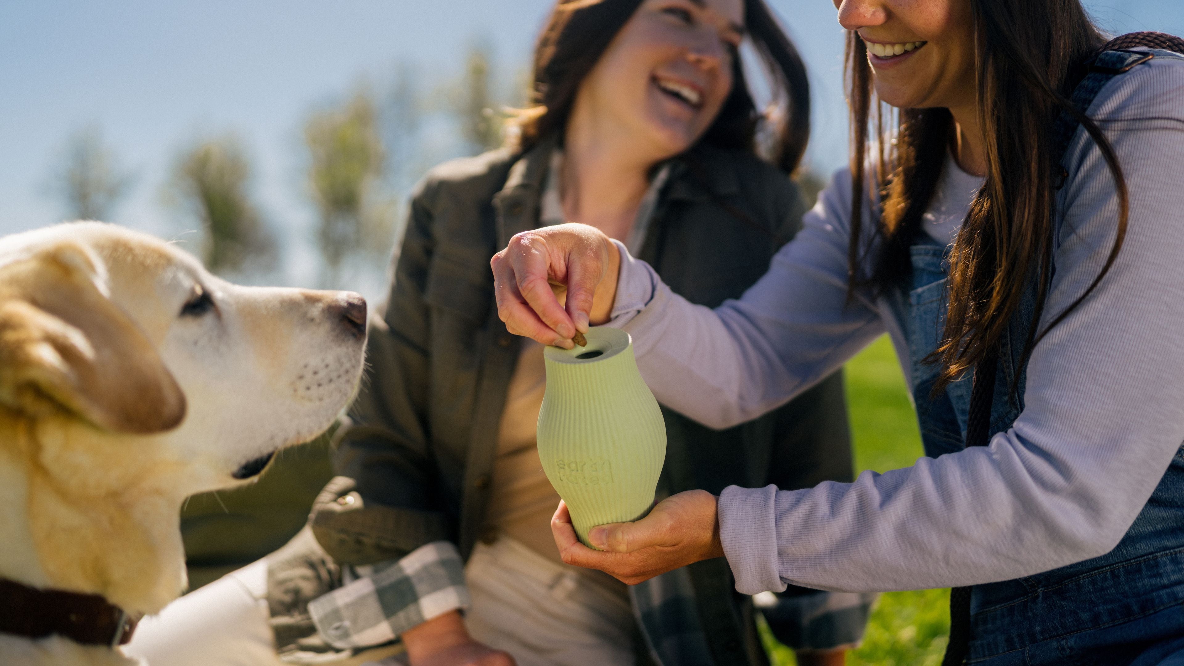 Interactive Dog Toys: The Guide Every Dog Owner Needs