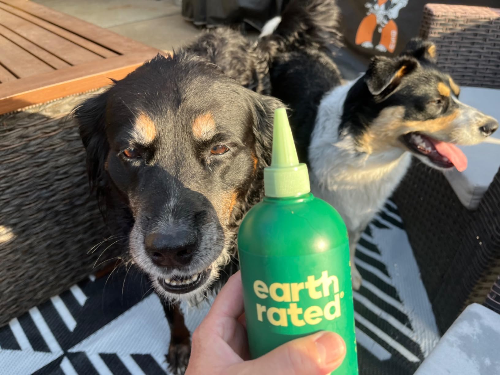 Earth Rated Making life with dogs simpler and better