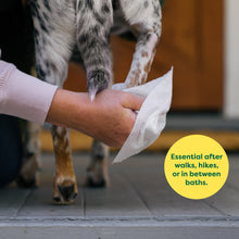 Textured Dog Grooming Wipes