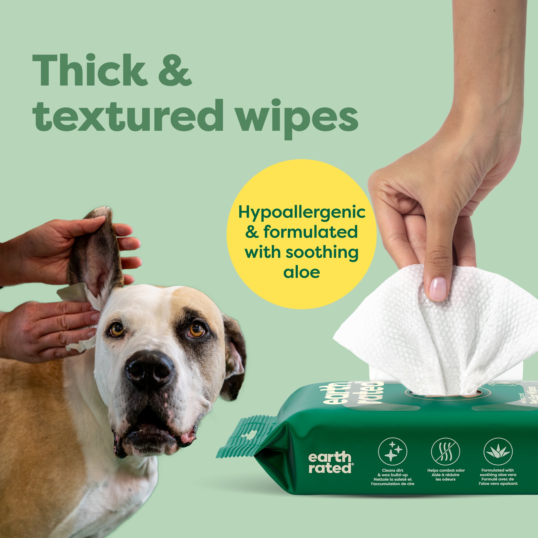 Ear Wipes