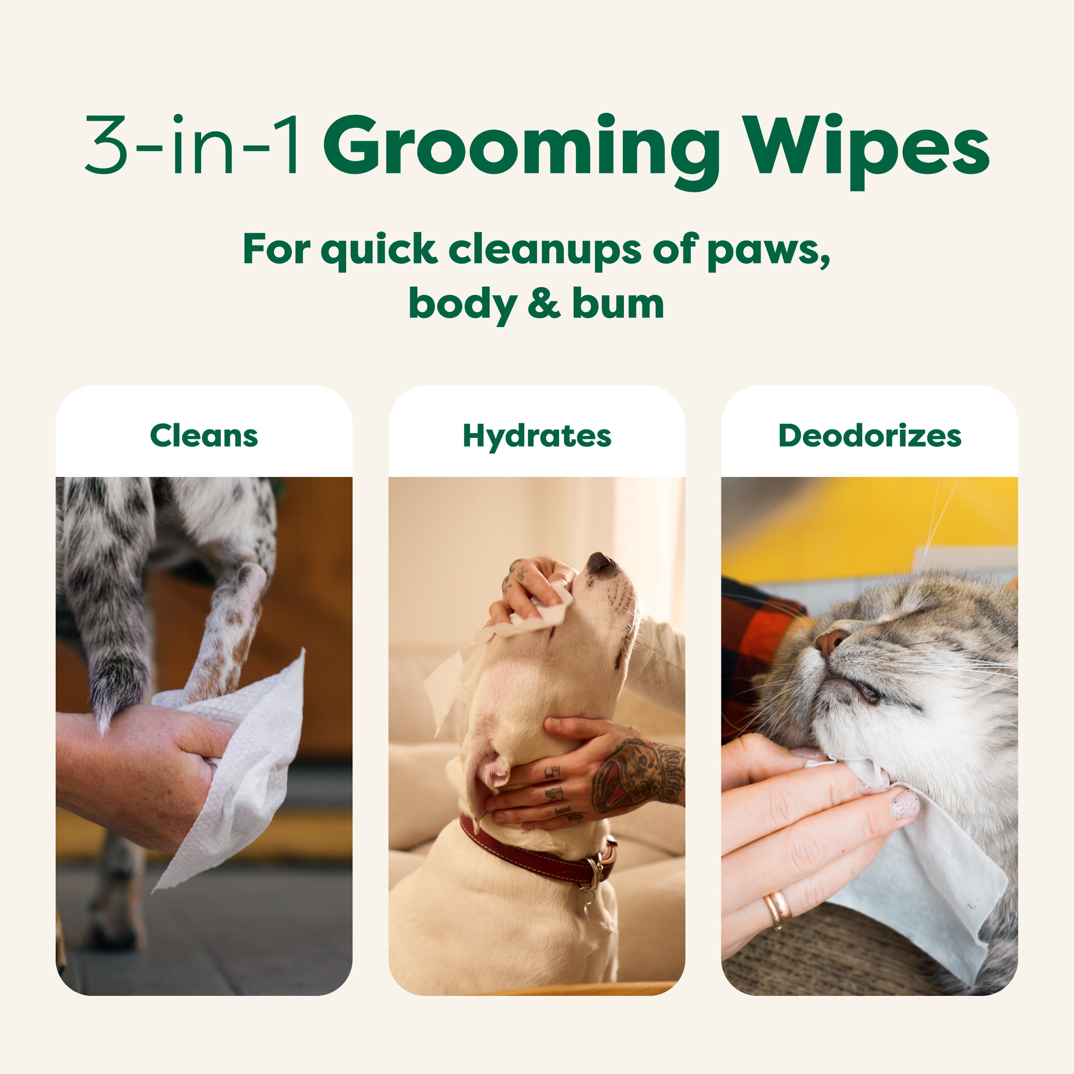 Textured Dog Grooming Wipes