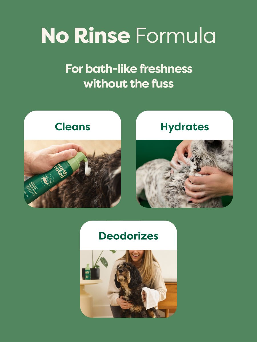 No-Rinse Dog Shampoo (FW-Paid-Google-Branded-Branded-Shampoo-No-Rinse)