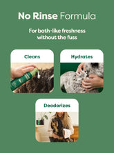 No-Rinse Dog Shampoo (FW-Paid-Google-Branded-Branded-Shampoo-No-Rinse)