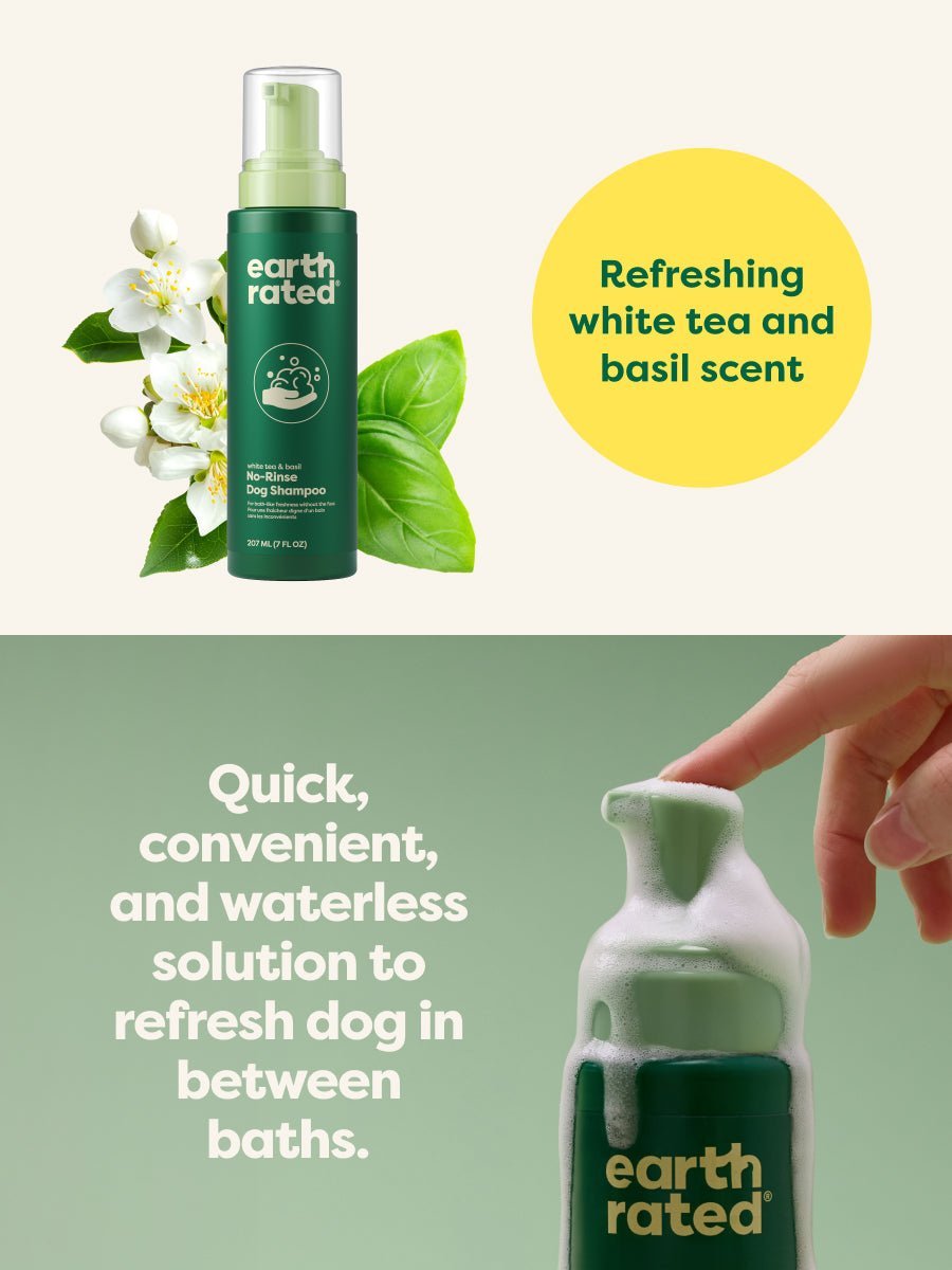 No-Rinse Dog Shampoo (FW-Paid-Google-Branded-Branded-Shampoo-No-Rinse)