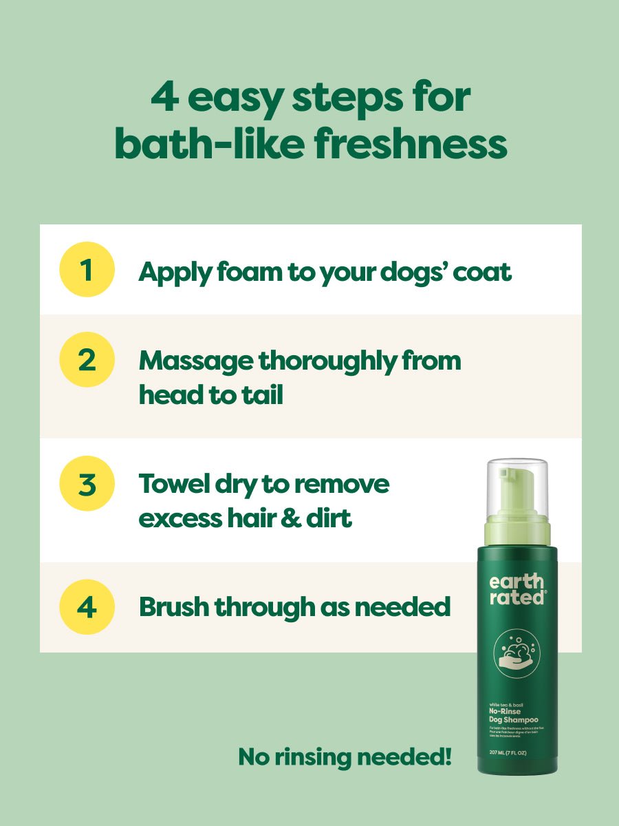 No-Rinse Dog Shampoo (FW-Paid-Google-Branded-Branded-Shampoo-No-Rinse)