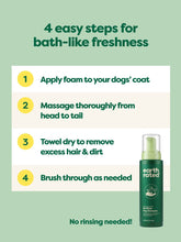 No-Rinse Dog Shampoo