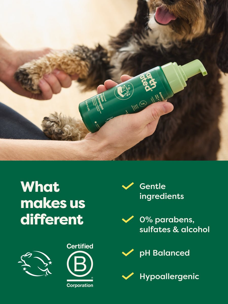 No-Rinse Dog Shampoo (FW-Paid-Google-Branded-Branded-Shampoo-No-Rinse)