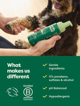 No-Rinse Dog Shampoo (FW-Paid-Google-Branded-Branded-Shampoo-No-Rinse)